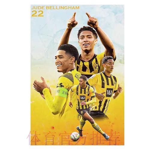 世界杯阿根廷贝林厄姆数据统计权威解读 世界杯阿根廷贝林厄姆数据统计权威解读